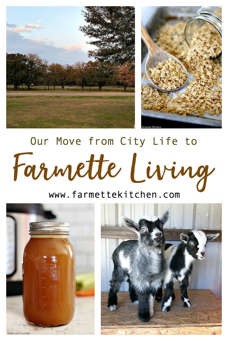 What is a farmette? For me, it is a small farm- a few acres of fresh air with a functional garden and a couple of chickens running around. Our farmette is where we have learned to revert back to a simpler way of doing things.