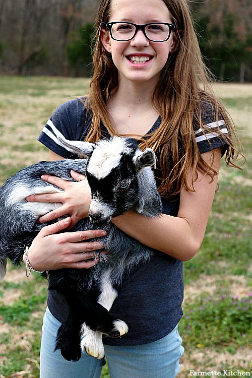 child holding a baby goat