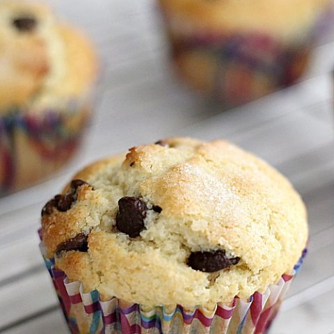 small batch chocolate chip muffins