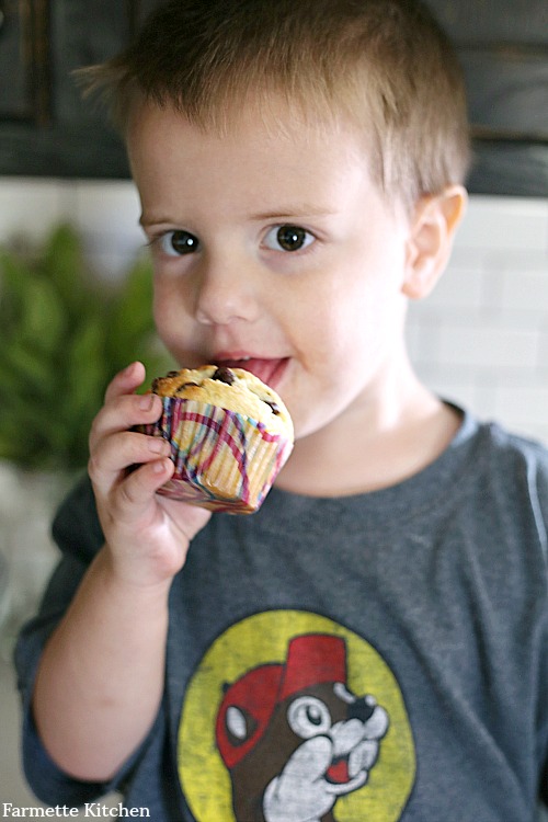 Chocolate Chip Mini Muffins - My Kids Lick The Bowl