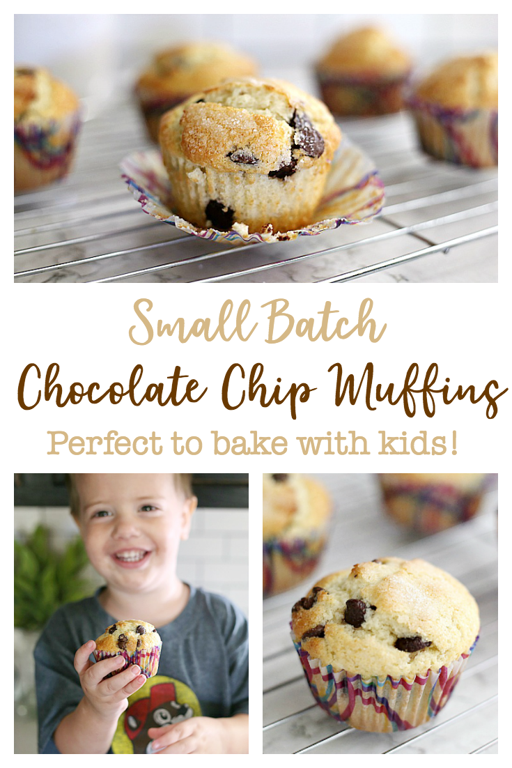 These small batch Chocolate Chip Muffins come together easily in one bowl to make six moist, chocolatey, slightly sweet muffins. This recipe is perfect to bake with kids because the thick batter means less mess and the ingredients all get dumped into one bowl together!