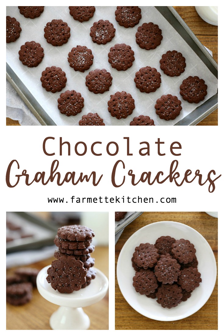 Make your own Homemade Chocolate Graham Crackers with only a few simple ingredients. Perfect in the lunchbox or as an after-school treat!