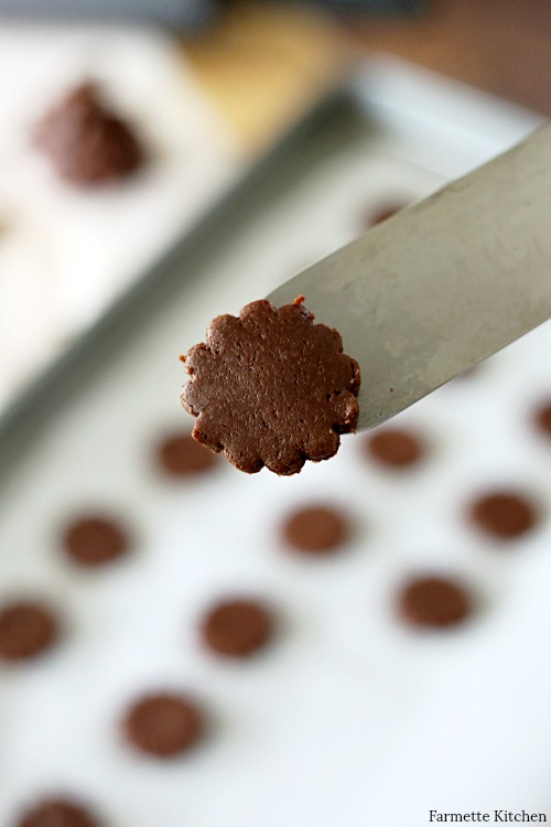 unbaked chocolate graham cracker on a metal spatula