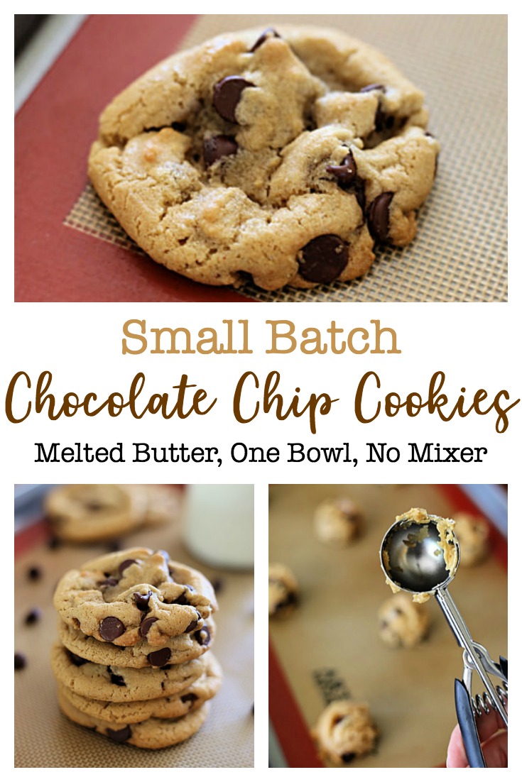 My family loves these one-bowl Small Batch Chocolate Chip Cookies! With this easy chocolate chip cookie recipe there's no need to get out the mixer, soften the butter, or chill the dough.