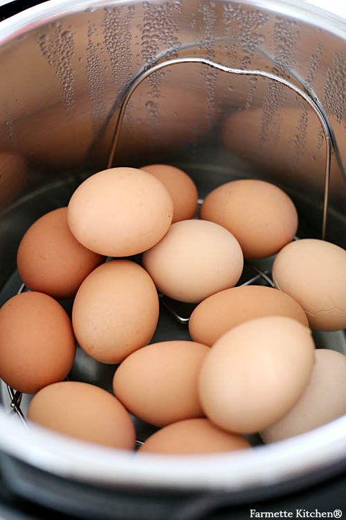 brown eggs in an Instant Pot