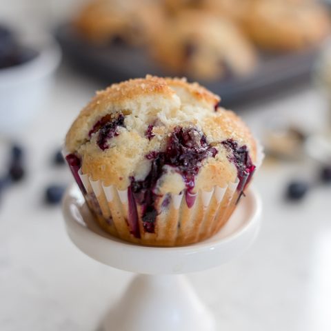 blueberry muffin on a small cake pedestal