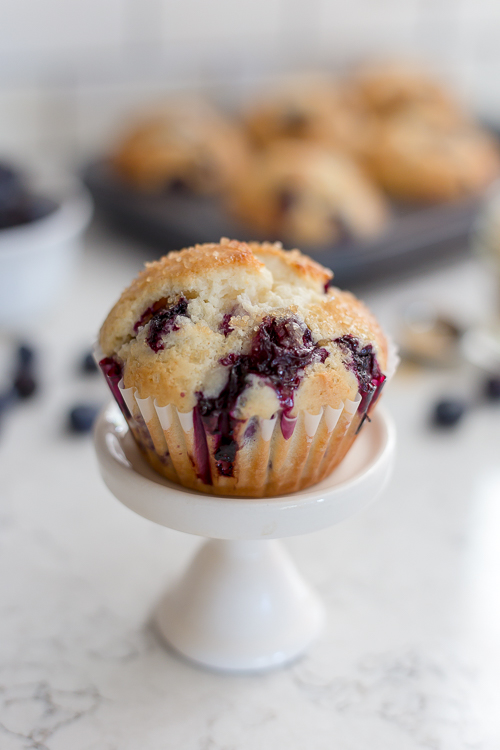 blueberry muffin on a small cake pedestal