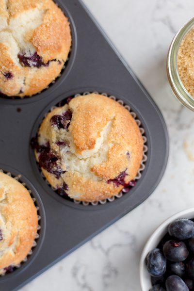 Blueberry muffin in a muffin tin