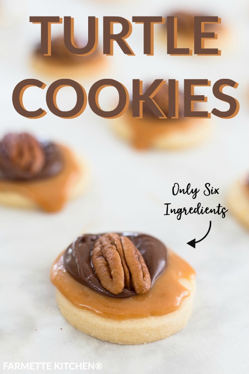 Turtle Cookies made with a buttery shortbread cookie, rich caramel and smooth chocolate, then topped with a crunchy pecan are an easy and impressive dessert. 