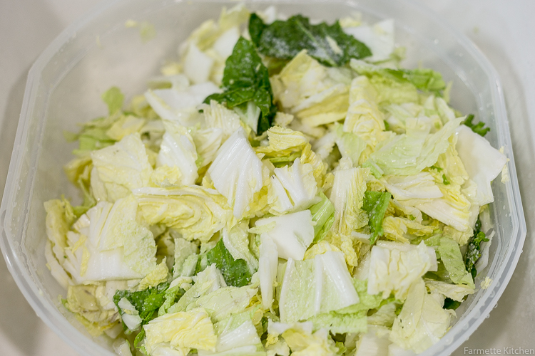 napa cabbage with salt