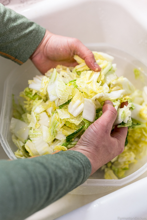 tossing cabbage in a large bowl