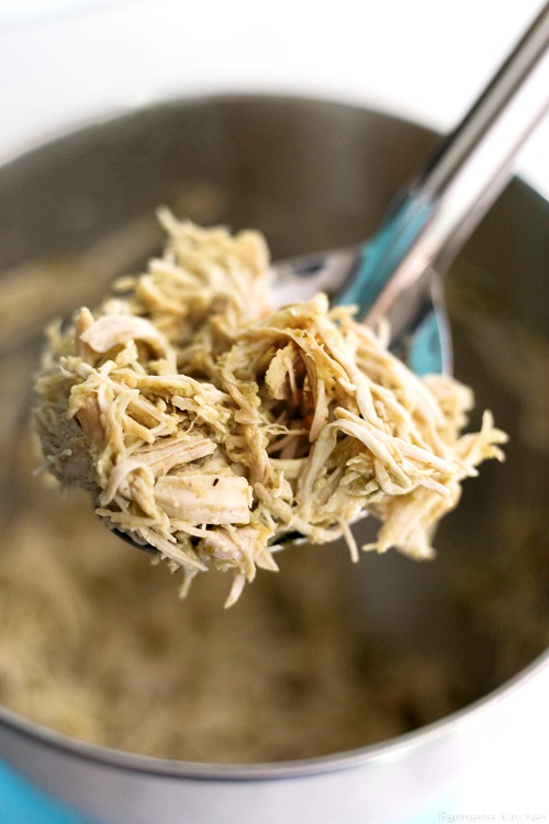 a spoonful of shredded chicken
