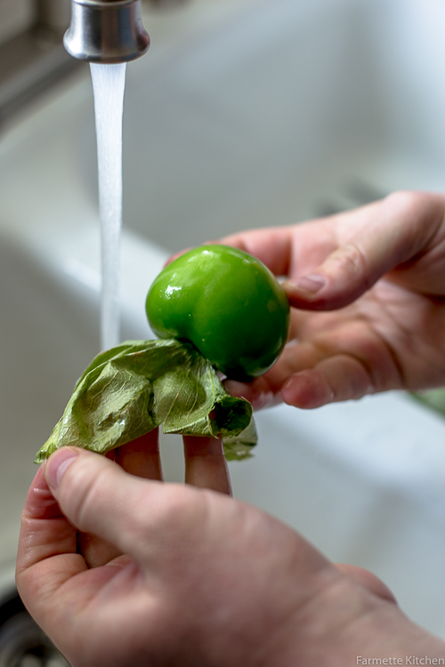 husking a tomatillo