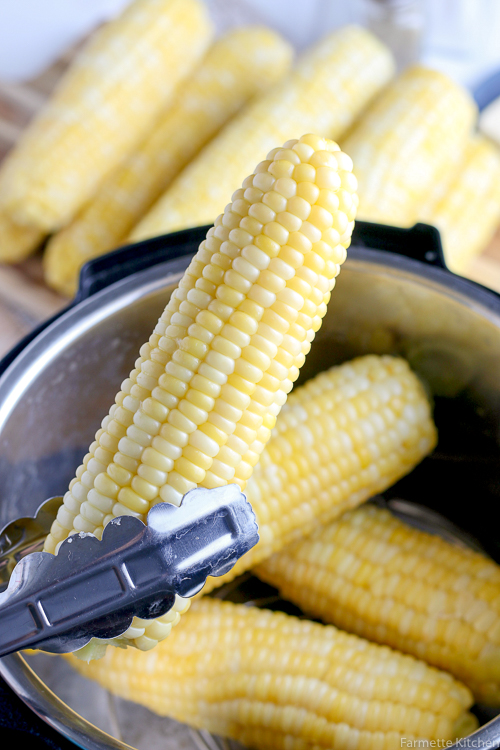 an ear of corn held up by metal tongs