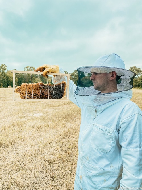 firefighter saves the bees