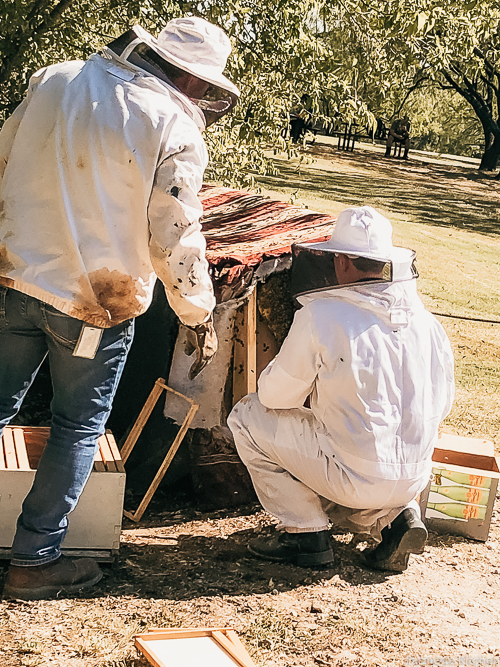 man in bee suit next to bee infested couch