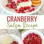 Cranberry salsa made with fresh cranberries, red onion, jalapeño, and cilantro tossed with sweetened lime juice. Serve this super easy dip over softened cream cheese and watch it disappear!