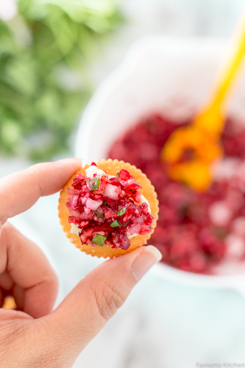 fingers holding a cracker with cranberry salsa