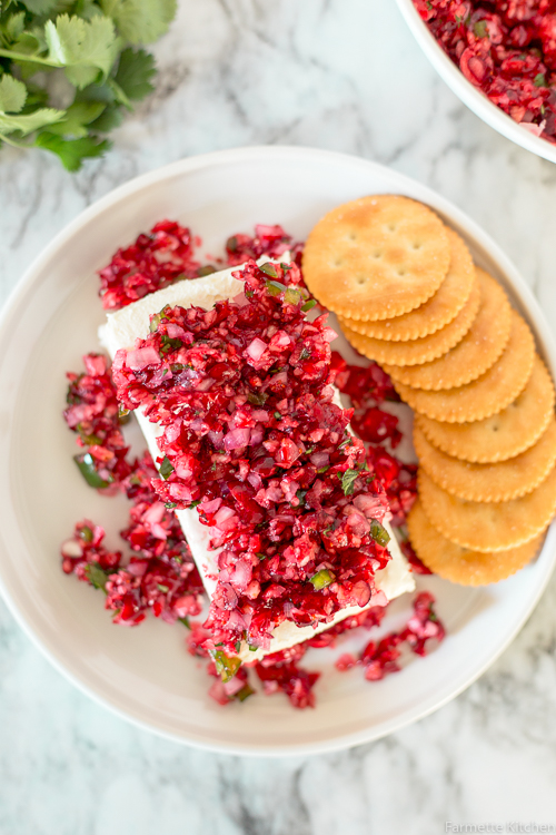 plate with cream cheese and cranberry salsa