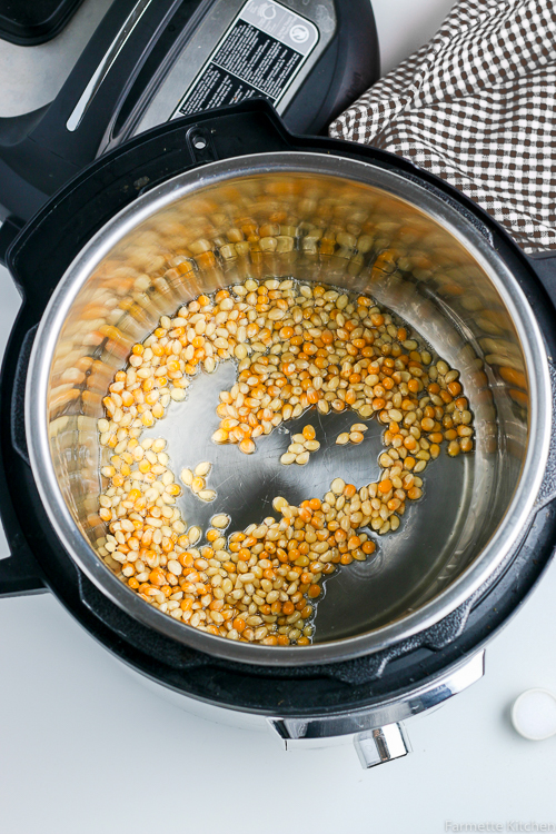 unpopped popcorn kernels in an Instant Pot