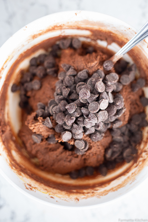 chocolate cookie dough with chocolate chips