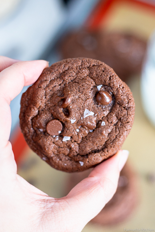 chocolate cookie held between thumb and index finger