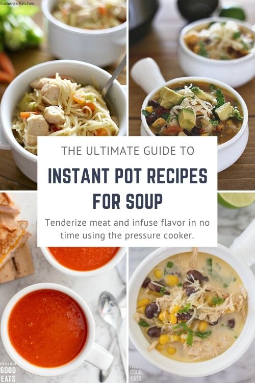 100 Days of Instant Pot Dinner Recipes Your Family will Love - InstaPot